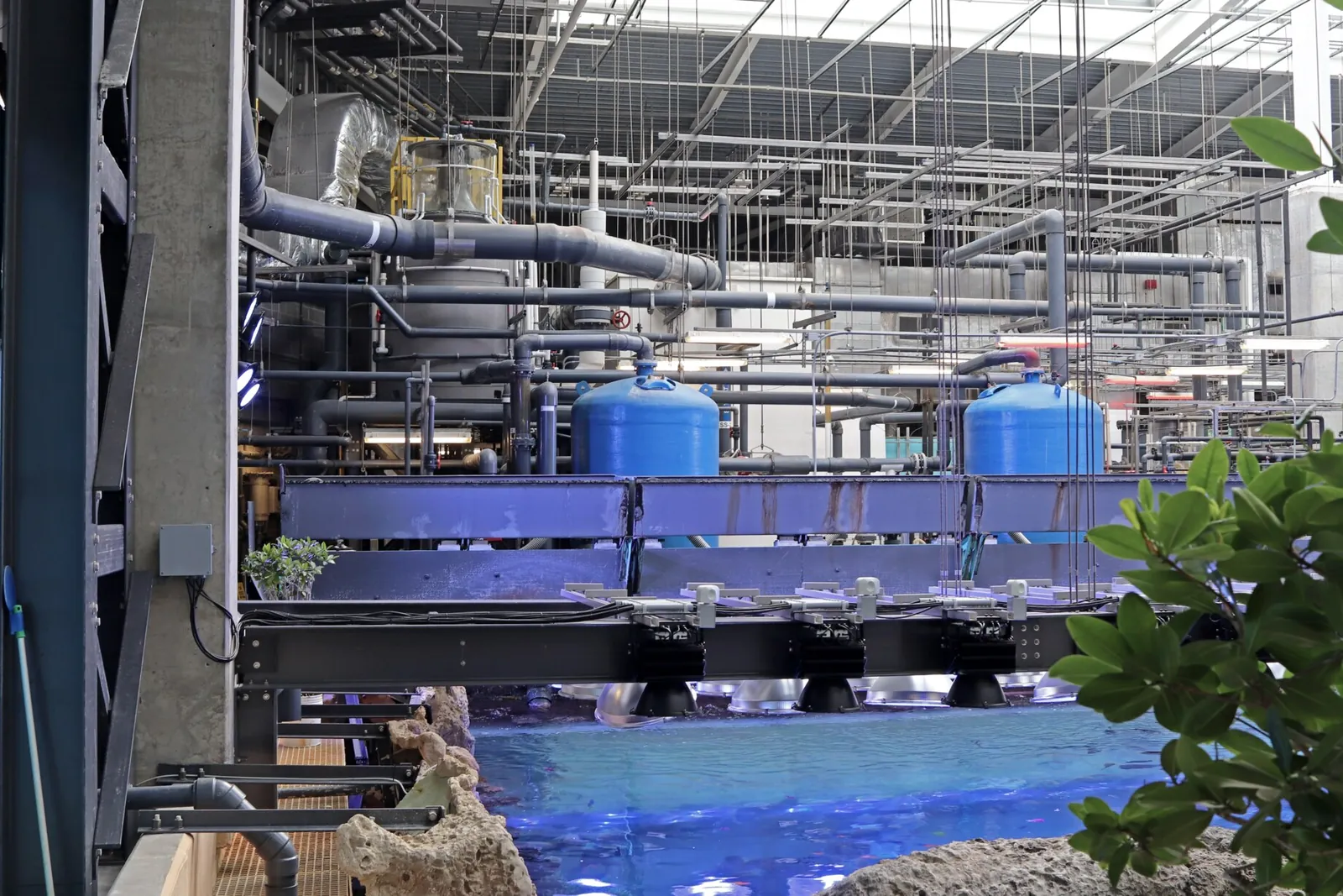 Pipework, valves and filter vessels above the coral reef tank at a public aquarium